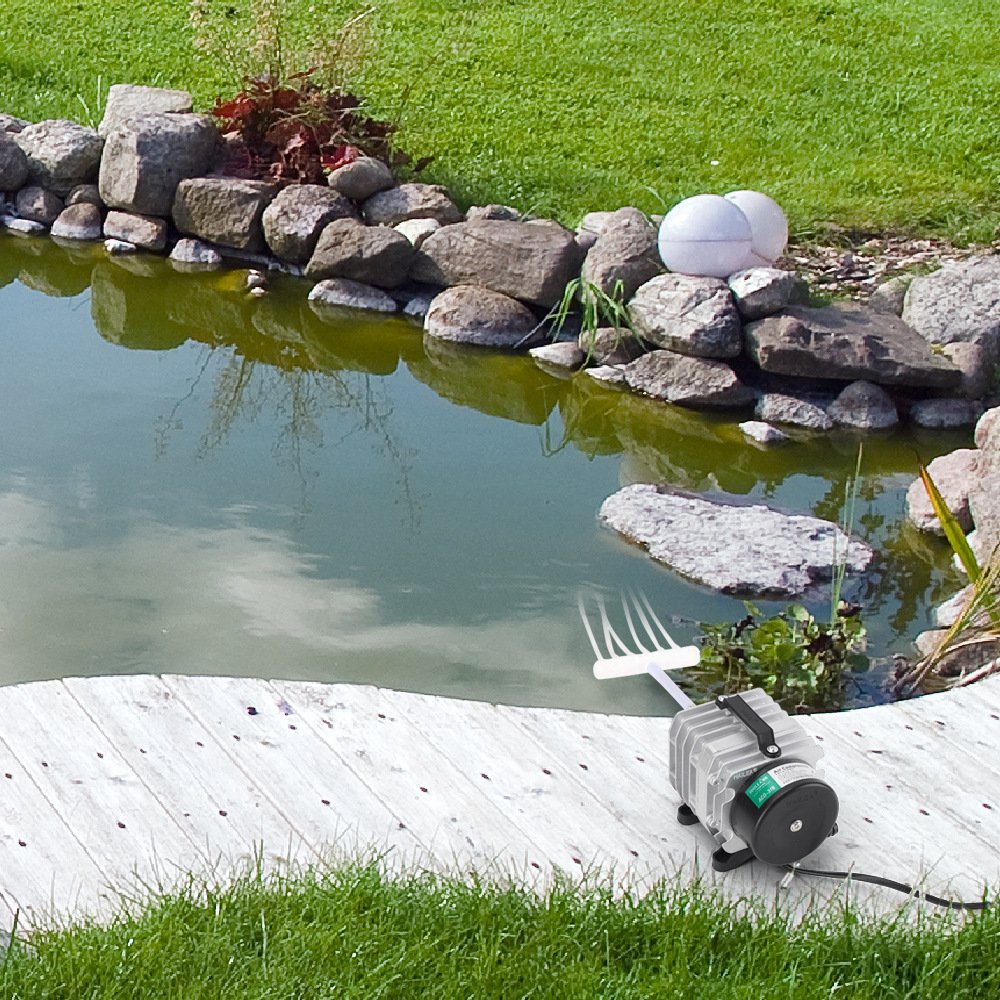 17854365132 1582723629 2